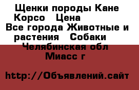 Щенки породы Кане-Корсо › Цена ­ 25 000 - Все города Животные и растения » Собаки   . Челябинская обл.,Миасс г.